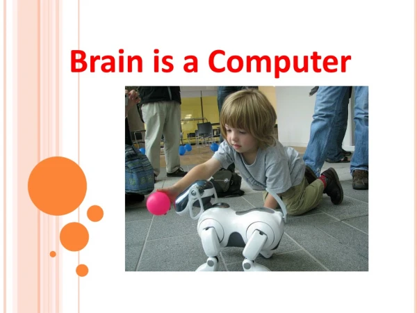 Brain is a Computer