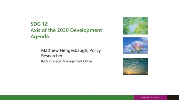 SDG 12: Axis of the 2030 Development Agenda