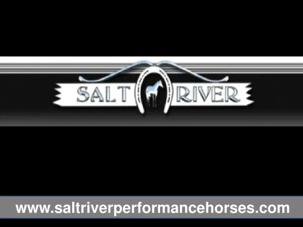 Saltriver Performance Horses Training Facilities