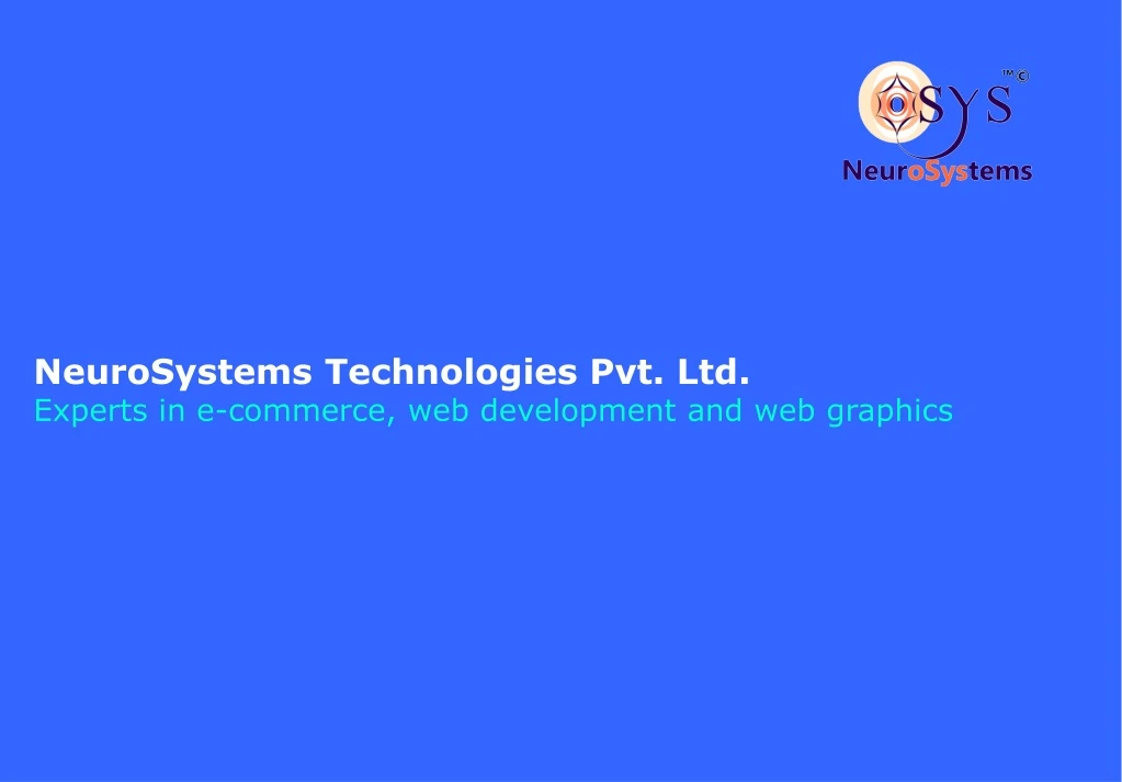 neurosystems technologies pvt ltd experts in e commerce web development and web graphics