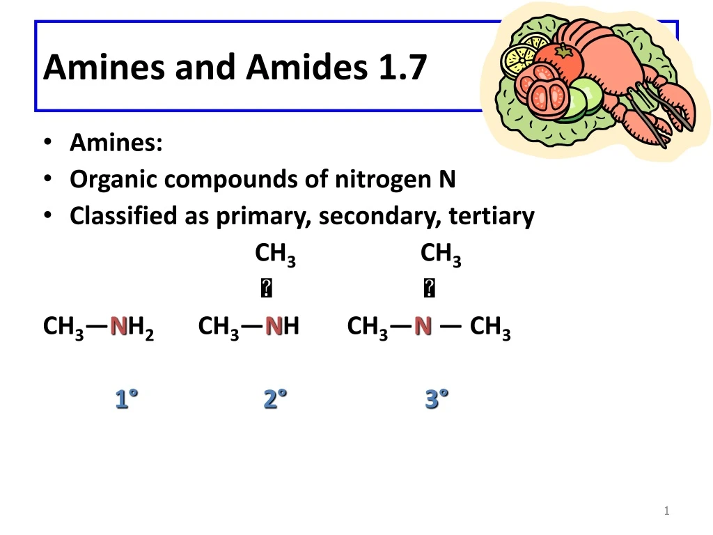 amines and amides 1 7