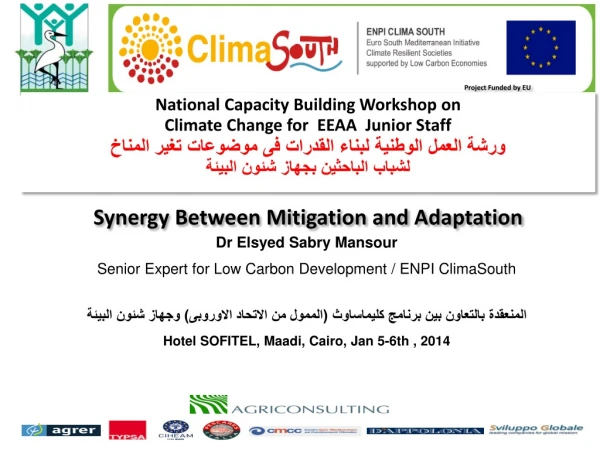 Dr Elsyed Sabry Mansour Senior Expert for Low Carbon Development / ENPI ClimaSouth