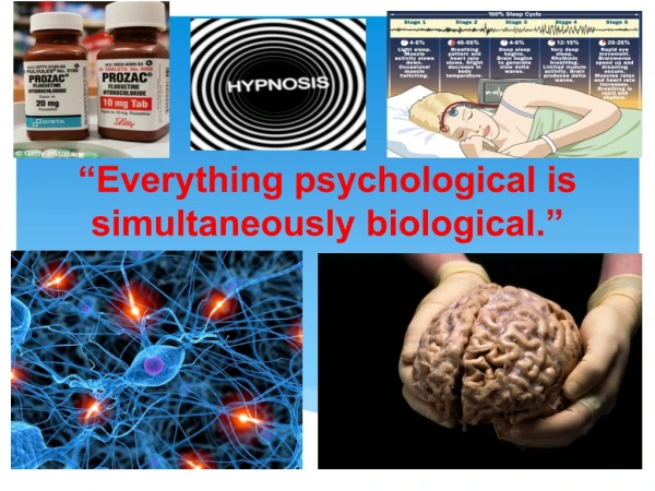 “Everything psychological is simultaneously biological.”