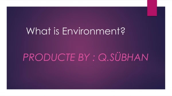 What is Environment ?
