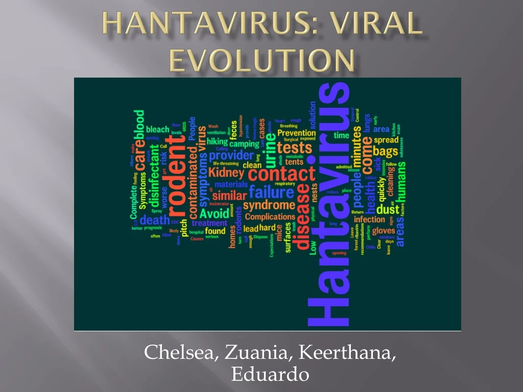 hantavirus viral evolution