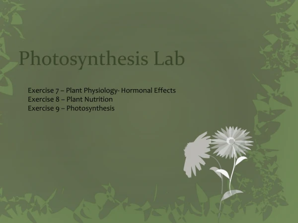 Photosynthesis Lab