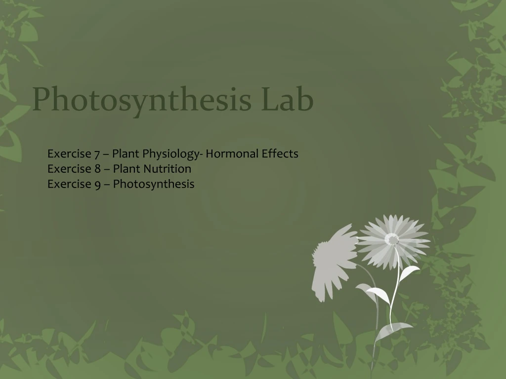 photosynthesis lab