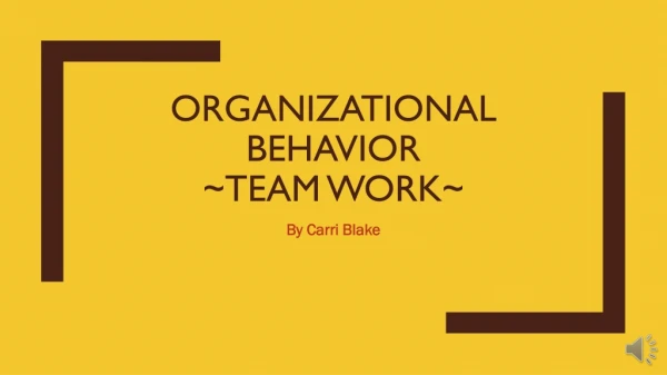 Organizational behavior ~team work~