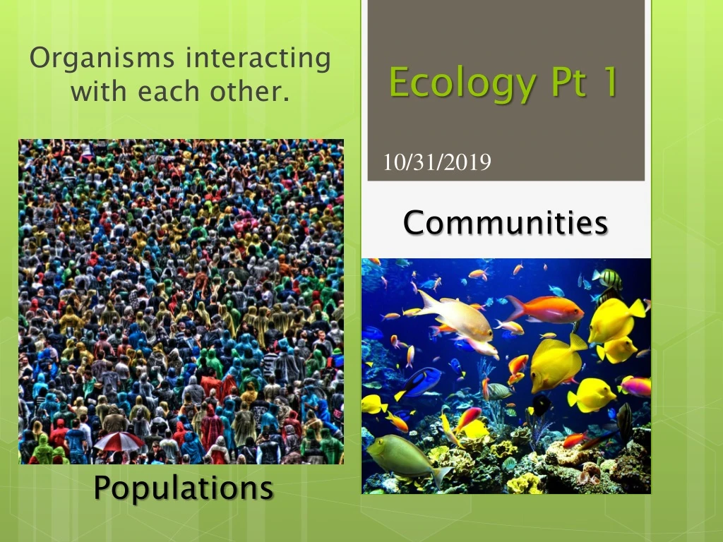 ecology pt 1
