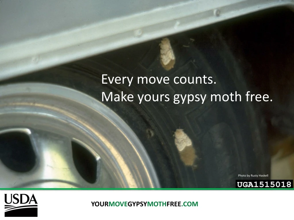 every move counts make yours gypsy moth free