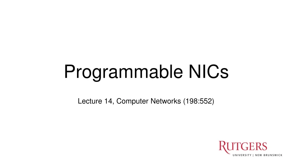 programmable nics