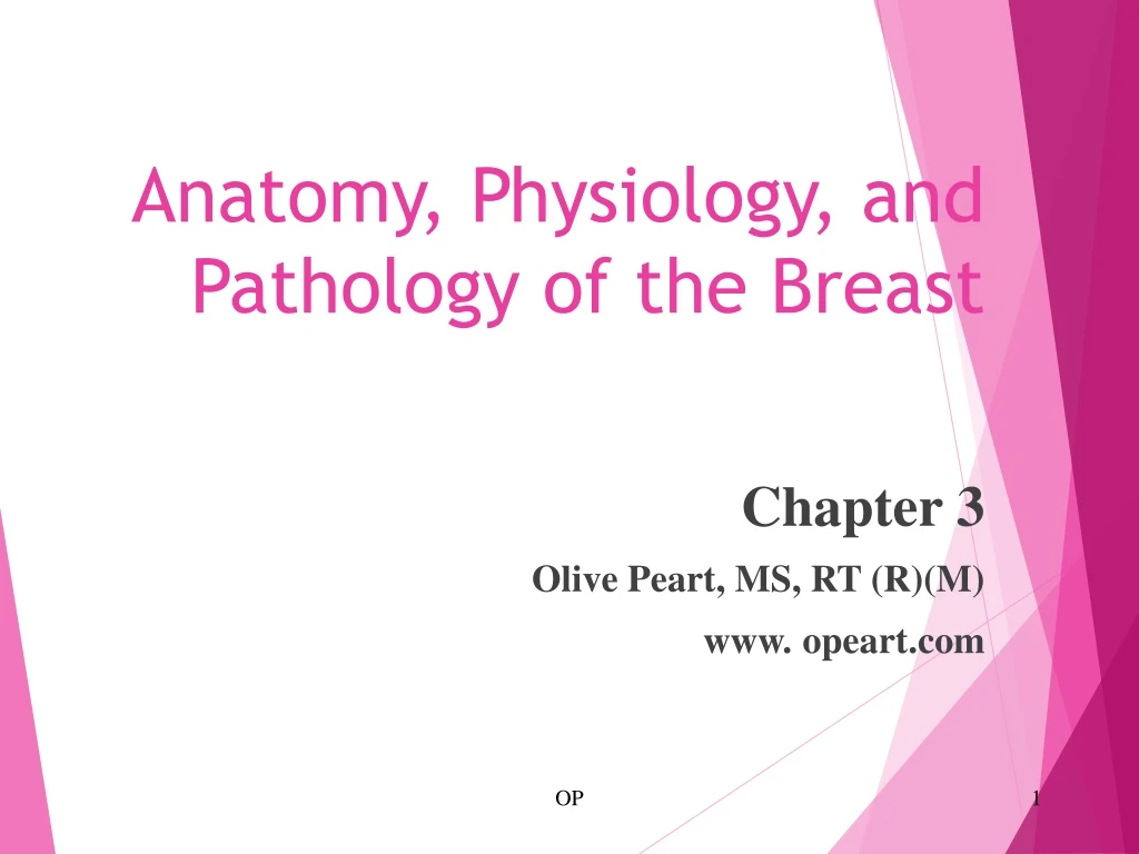 anatomy physiology and pathology of the breast