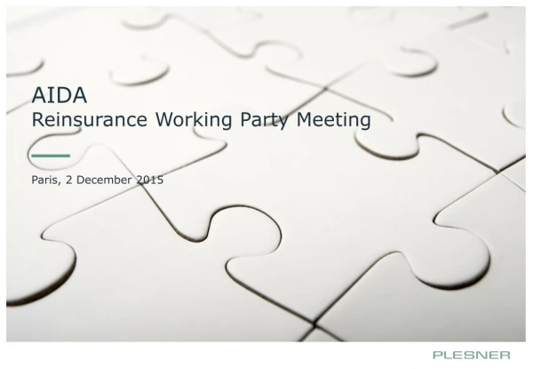 AIDA Reinsurance Working Party Meeting