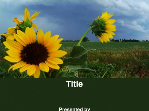 Title Presented by