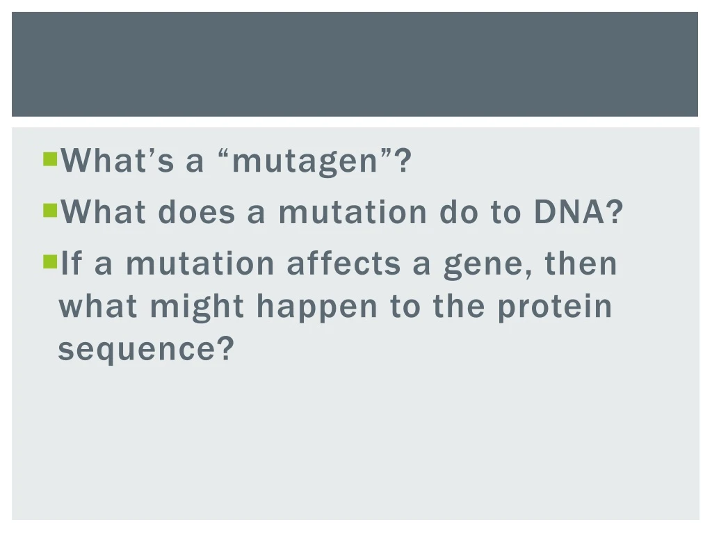 what s a mutagen what does a mutation
