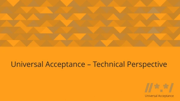 Universal Acceptance – Technical Perspective