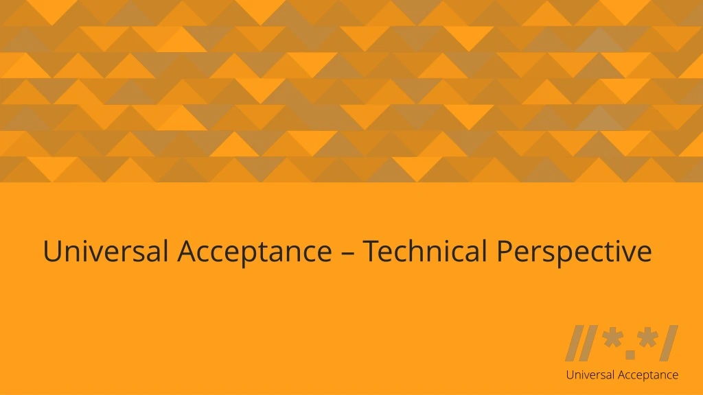 universal acceptance technical perspective