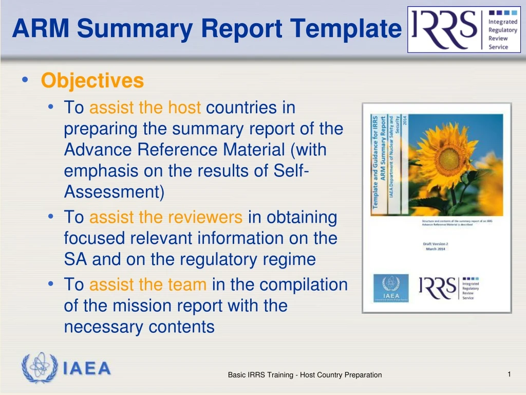 arm summary report template