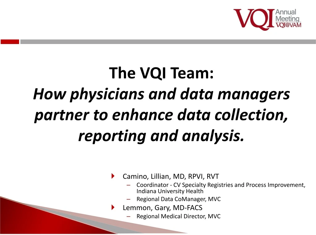 the vqi team how physicians and data managers