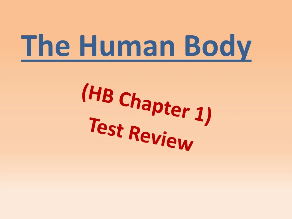 the human body