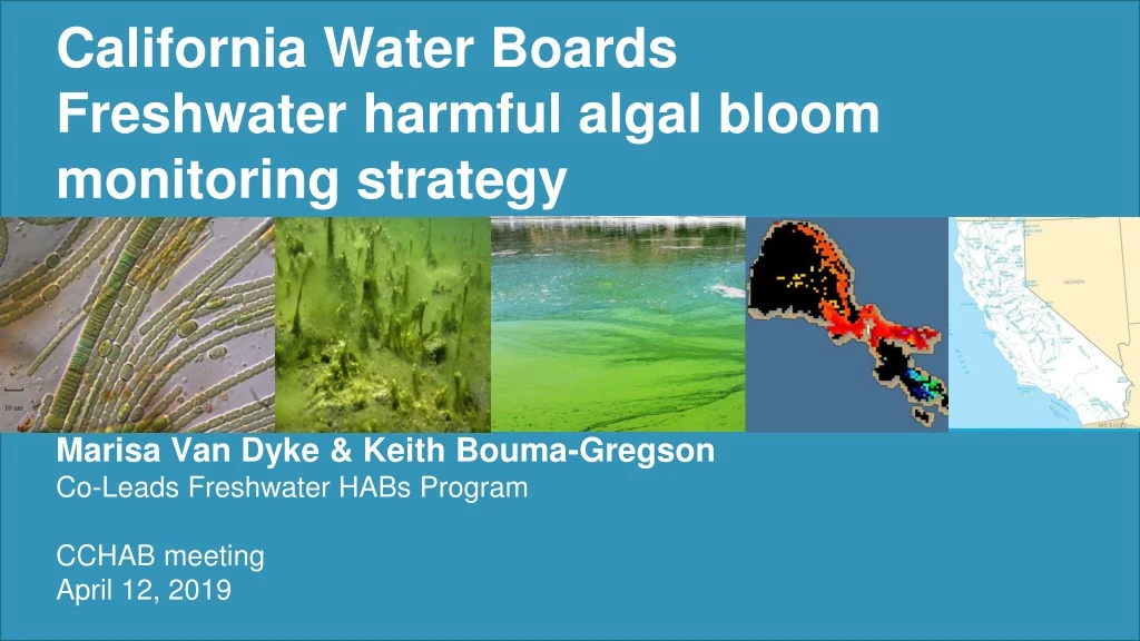 california water boards freshwater harmful a lgal bloom m onitoring strategy