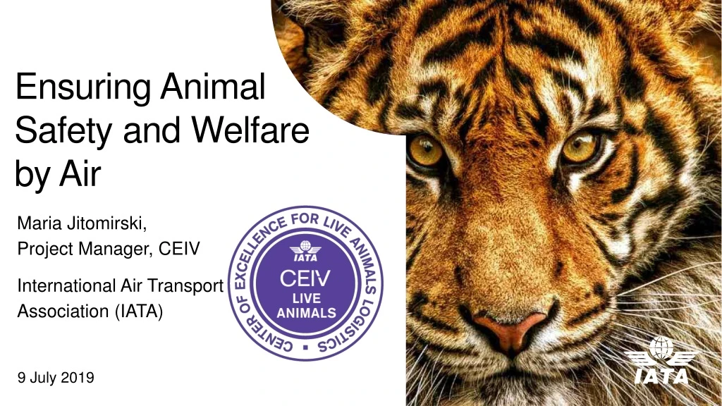 ensuring animal safety and welfare by air