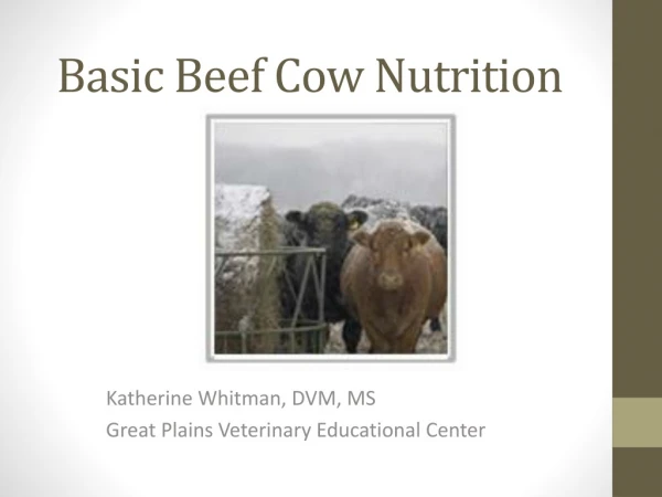Basic Beef Cow Nutrition
