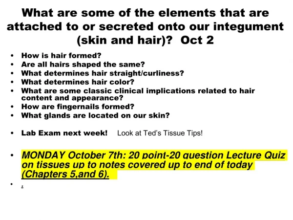 How is hair formed? Are all hairs shaped the same? What determines hair straight/curliness?
