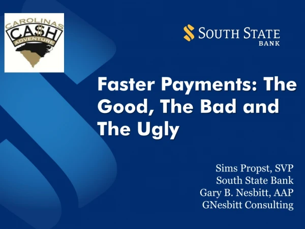 Faster Pay ments: The Good, The Bad and The Ugly