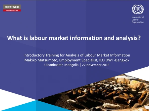What is labour market information and analysis?