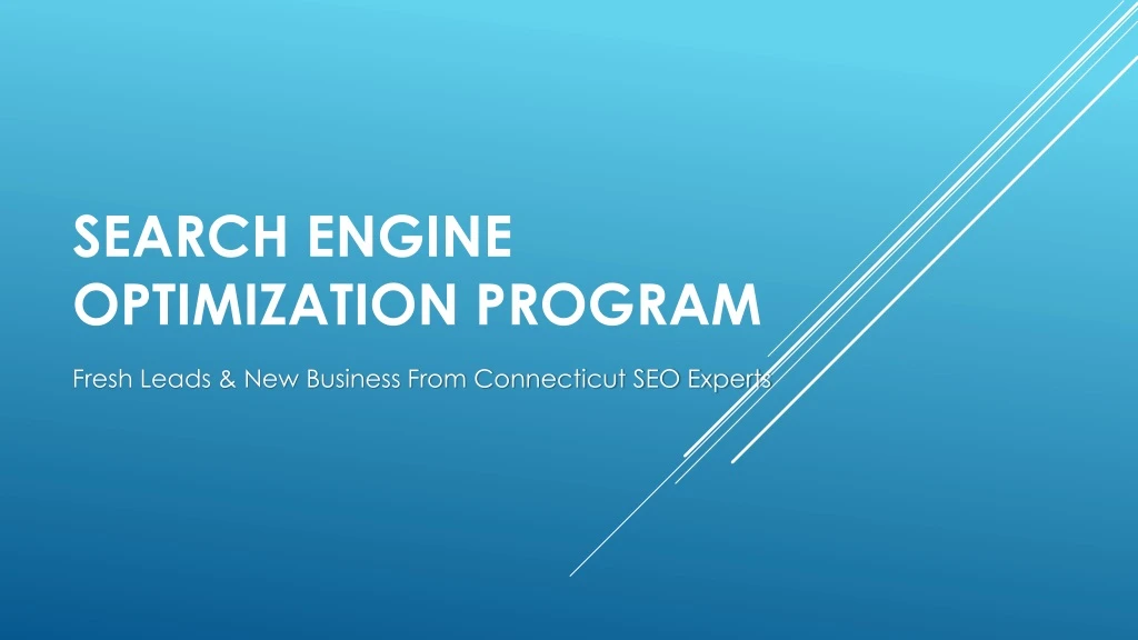 search engine optimization program