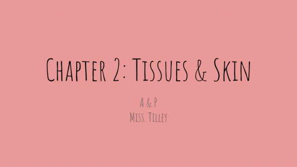 Chapter 2: Tissues &amp; Skin