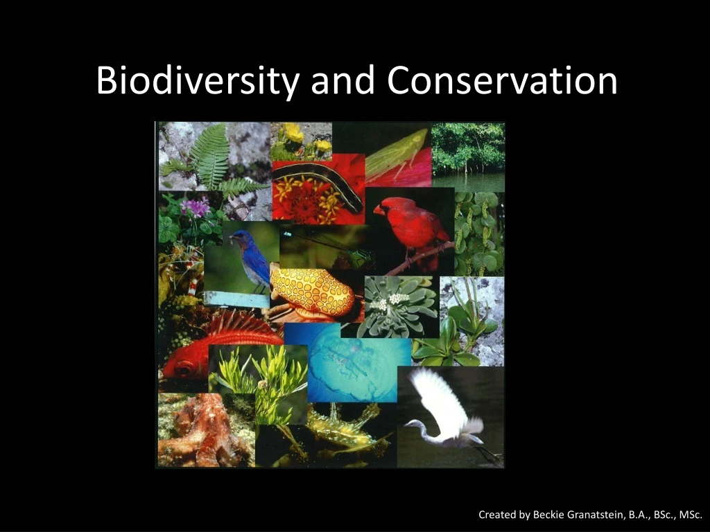 PPT - Biodiversity And Conservation PowerPoint Presentation, Free ...