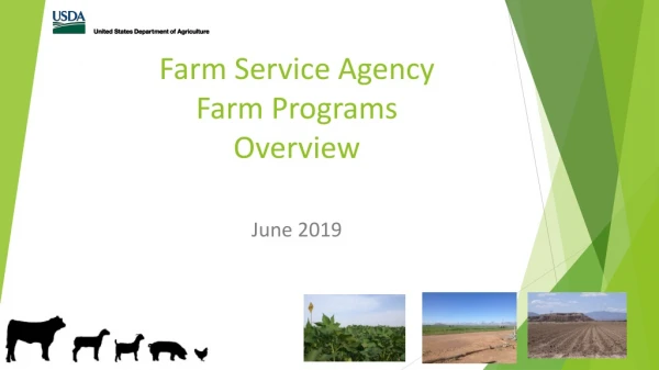Farm Service Agency Farm Programs Overview