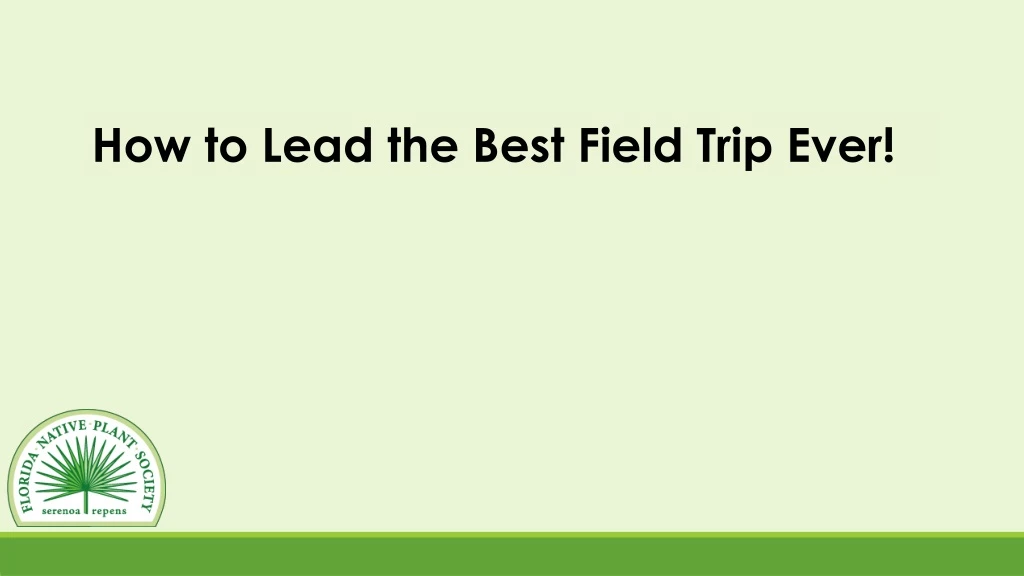 how to lead the best field trip ever