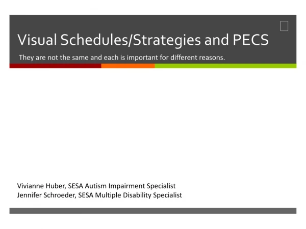 Visual Schedules/Strategies and PECS