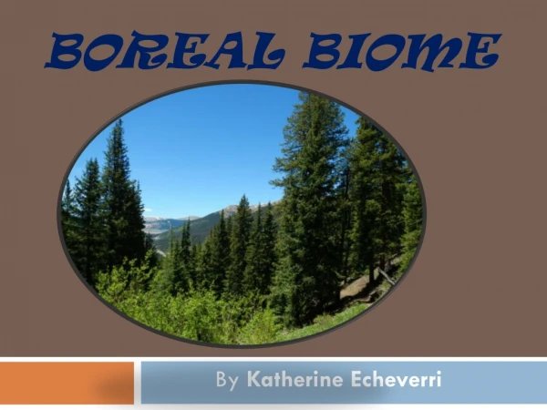 boreal Biome