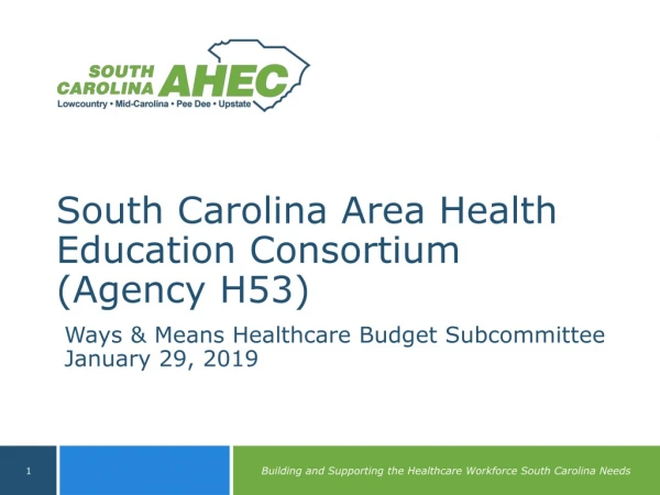 South Carolina Area Health Education Consortium (Agency H53)