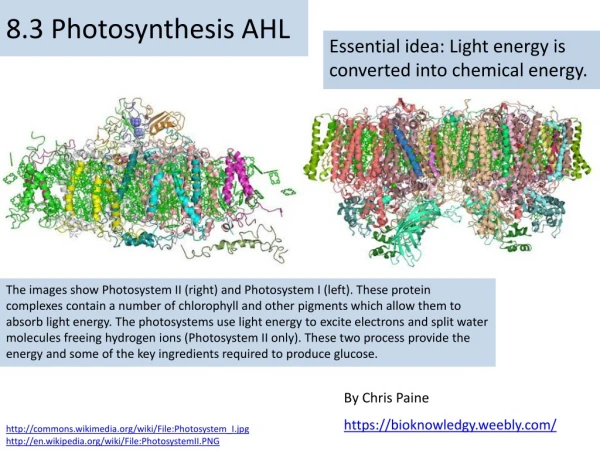 8.3 Photosynthesis AHL
