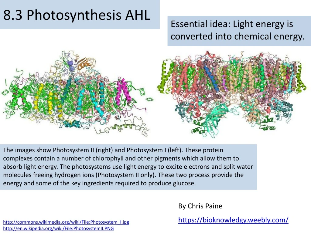 8 3 photosynthesis ahl