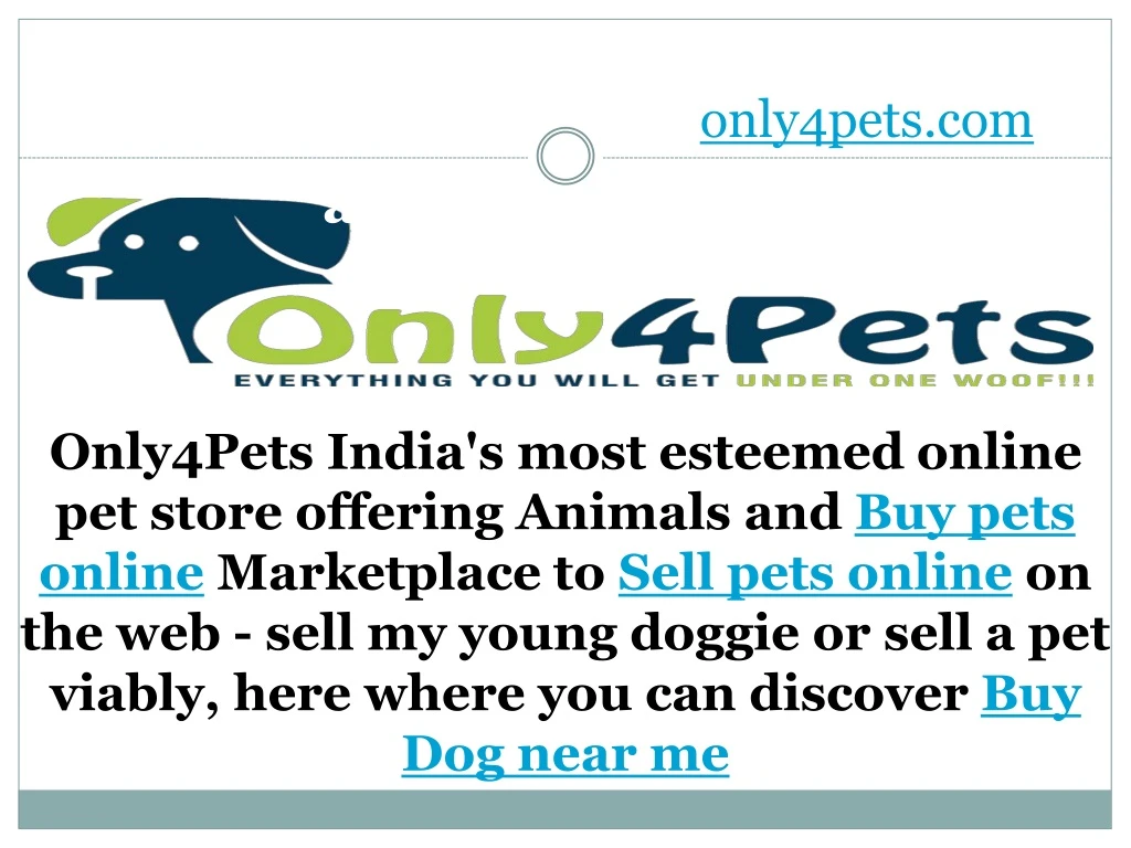 only4pets com