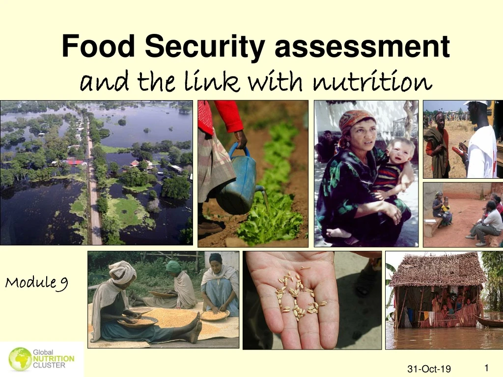 food security assessment and the link with