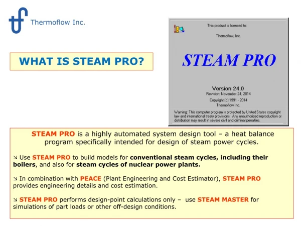 WHAT IS STEAM PRO?