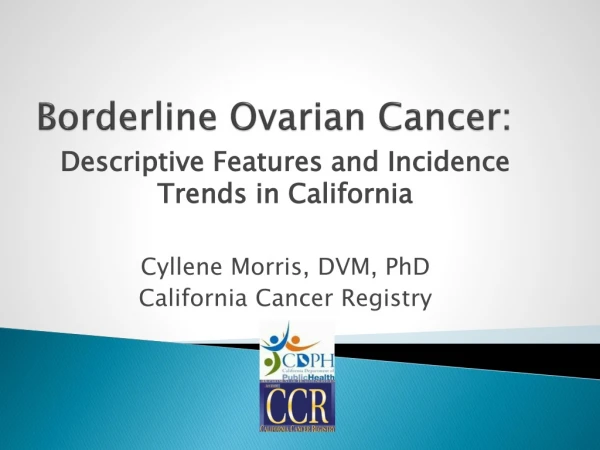 Borderline Ovarian Cancer: