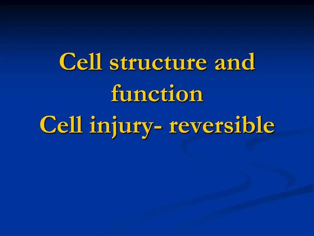 cell structure and function cell injury reversible