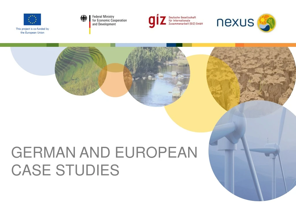 german and european case studies