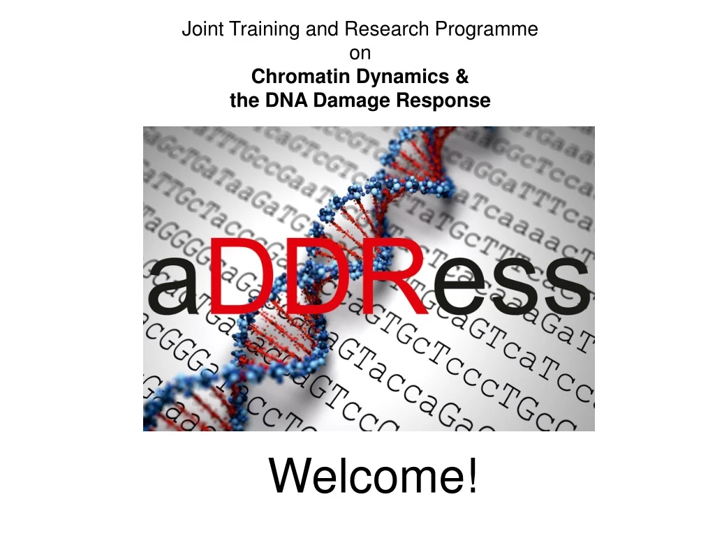 joint training and research programme