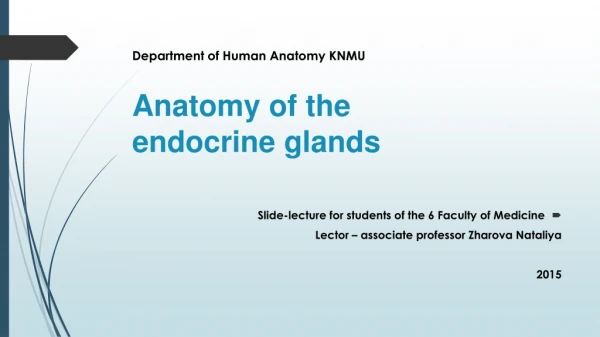 Department of Human Anatomy KNMU Anatomy of the endocrine glands