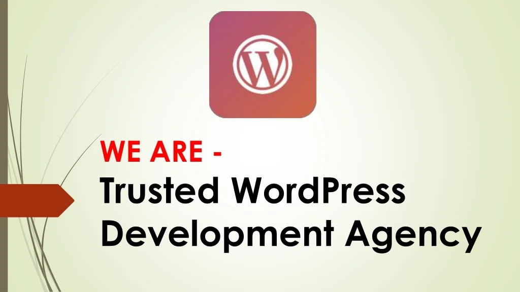 we are trusted wordpress development agency