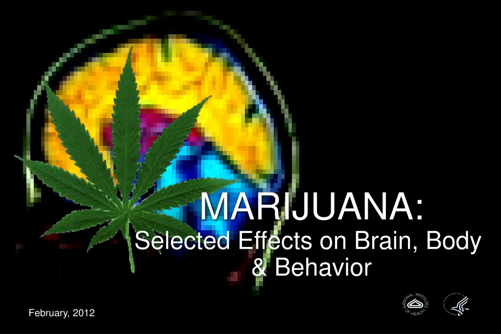 marijuana selected effects on brain body behavior